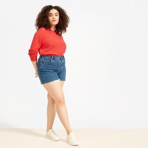 Everlane Hight Waist Straight raw hem shorts